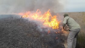 عامل حریق روزهای گذشته در میانکاله هنوز مشخص نشده است