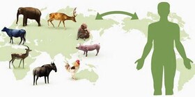 اقدامات پیشگیرانه در حوزه بیماری‌های مشترک انسان و حیوان