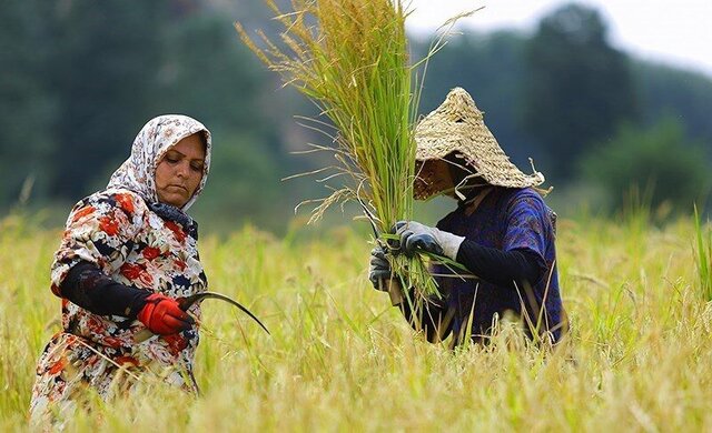 از دستان پرکار تا ماشین‌های مدرن