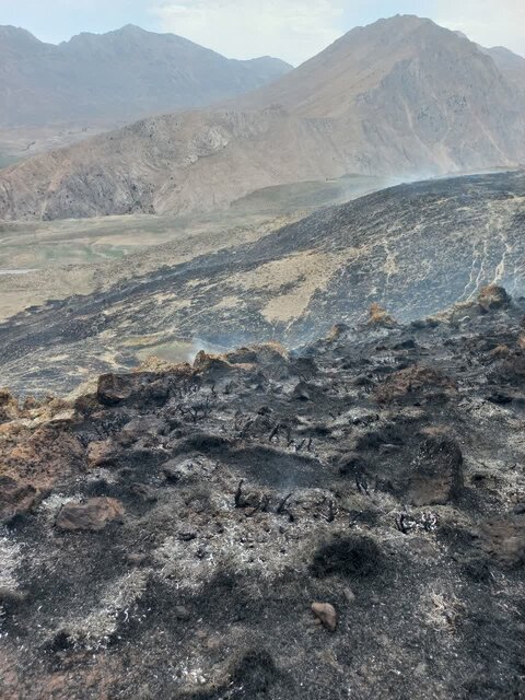 آتش حدود 10 هکتار از مراتع بام ایران را خاکستر کرد