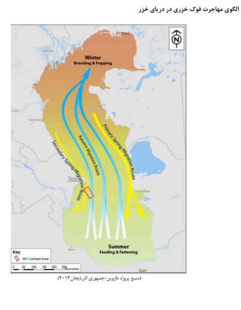 صدای خفته انقراض از اعماق خزر