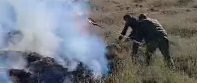 آتش سوزی در مراتع منطقه بلده نور مهار شد