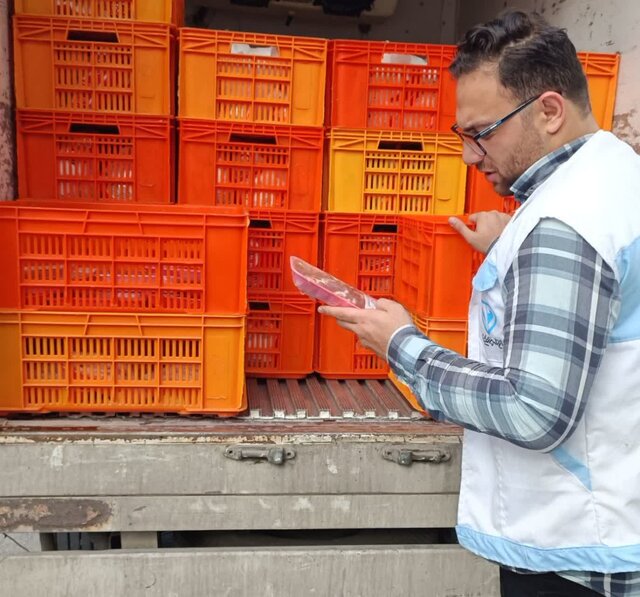 صدور گواهی حمل فرآوردههای خام دامی مواکب اربعین مازندران در روزهای تعطیل