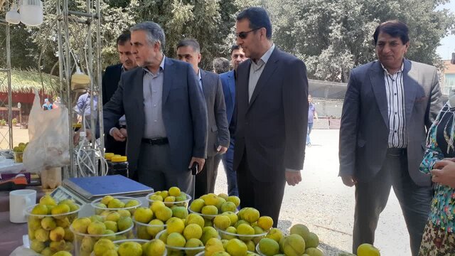 برگزاری مراسم شکرانه «انجیر» در گلوگاه