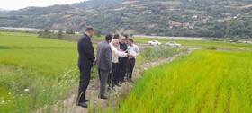 ورود دادستانی مرکز مازندران به موضوع تصرفات غیرقانونی بستر رودخانه تجن