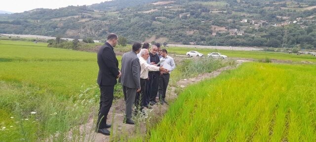 ورود دادستانی مرکز مازندران به موضوع تصرفات غیرقانونی بستر رودخانه تجن