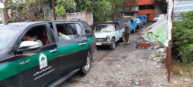 باند بزرگ چوب آلات قاچاق جنگلی در آمل زمینگیر شد