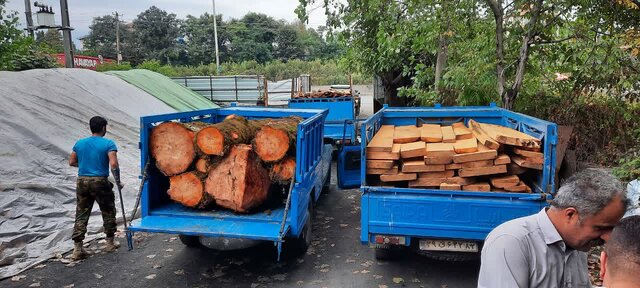 عکس تزیینی پلمب ۵ واحد متخلف چوببری و دپوی چوب در آمل