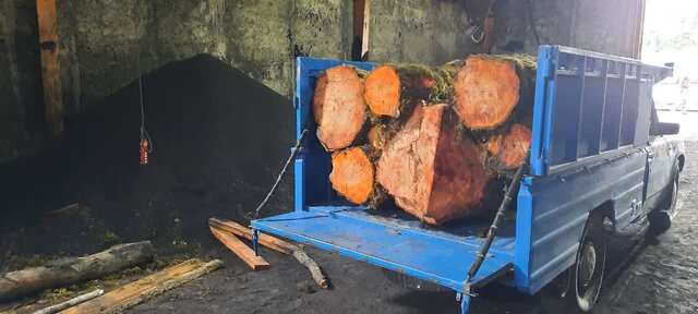 باند بزرگ چوب آلات قاچاق جنگلی در آمل زمین‌گیر شد