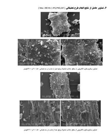 استفاده از شلتوک برنج برای حذف سم «دیازینون» در کشاورزی