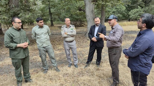 آغاز عملیات اجرایی کنترل بیماریهای قارچی درختان پناهگاه حیاتوحش دشتناز