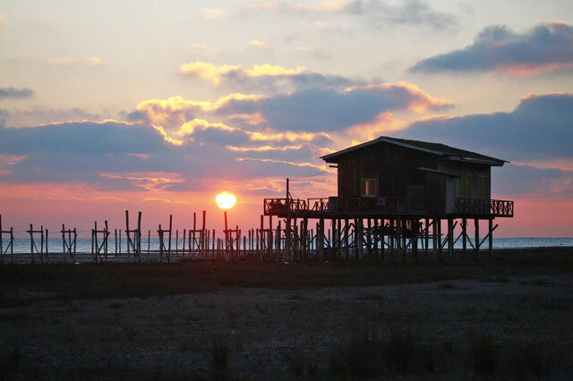 «تالابهای مازندران» قلب تپنده تالابهای ایران محسوب میشوند