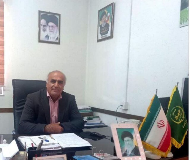 برداشت حدود ۲۰۰۰ تن برنج مرغوب از شالیزارهای سوادکوه