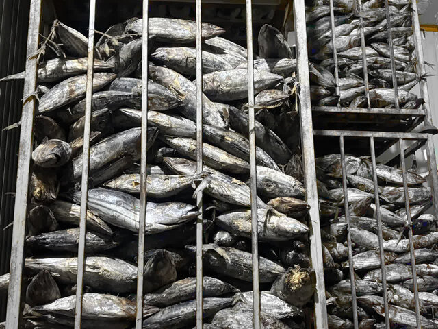 برای نخستین بار در فرایند صادرات امکان ترخیص فرآورده خام دامی در مازندران فراهم شد