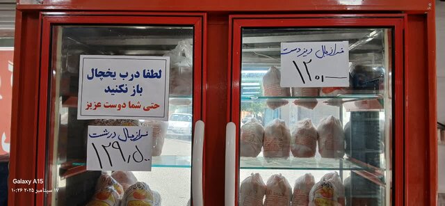 قیمت مرغ بر مدار گرانی