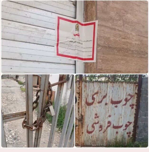 پلمب ۵ واحد متخلف چوب‌بری و دپوی چوب در آمل