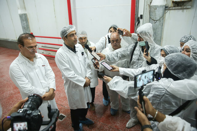 قطب تولید طیور کشور در دام افزایشی روزانه قیمت مرغ