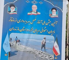 جشن ملی بهره‌برداری از ذخایر ماهیان استخوانی در سرخرود برگزار شد