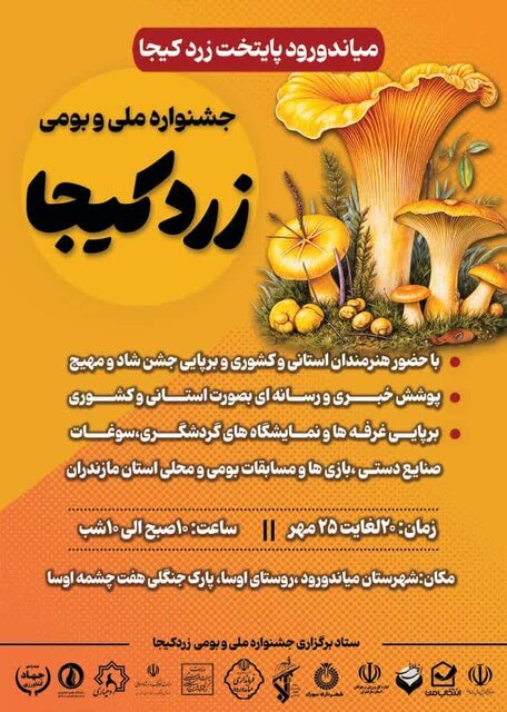 قارچ «زردکیج» ا؛ هدیه پروتئینی هیرکانی