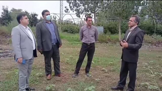 ضرورت پیوند بین دانشگاه و مزرعه/ از فناوری‌های نوین در کشاورزی استفاده شود