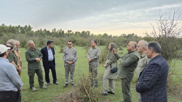 احیا پهنه جنگلی، استانداردسازی مرکز تکثیر و بازوحشی‌سازی گوزن زرد در مازندران