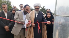 ۷۵۰ هکتار از اراضی مازندران به کشت گلخانهای سربسته اختصاص یافت