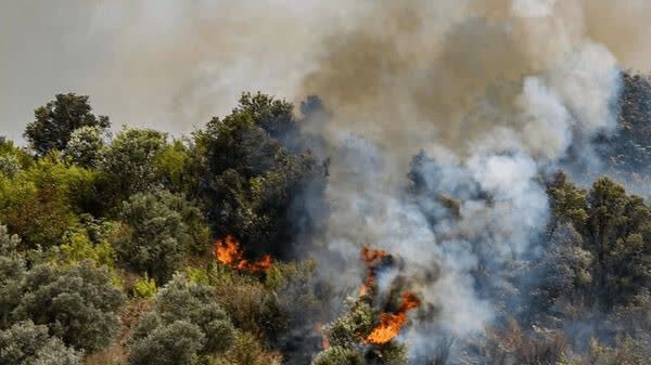 آتش در مرتع «پی‌کمر» آمل خاموش شد