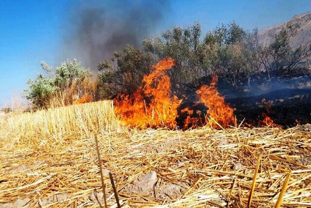 آسمان بابل در دودِ کاه و کلش