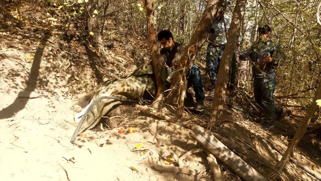 نجات یک قلاده خرس قهوه‌ای در آمل و رهاسازی در زیستگاه طبیعی
