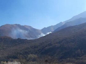 آتش‌سوزی در جنگل‌های دراکینگ چالوس