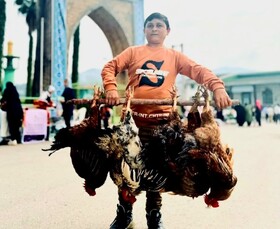  احیای سنتی دیرپا در شهر هولار برای رونق اقتصادی و اشتغال جوانان