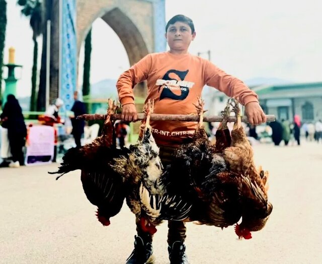  احیای سنتی دیرپا در شهر هولار برای رونق اقتصادی و اشتغال جوانان