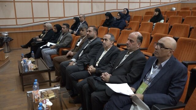 رئیس دانشگاه پیام نور از کسب رتبه هفتم ریاضی کشور خبرداد