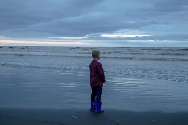 بحران خزر از مرز هشدار گذشت/ نابودی اکوسیستم در کمتر از یک دهه