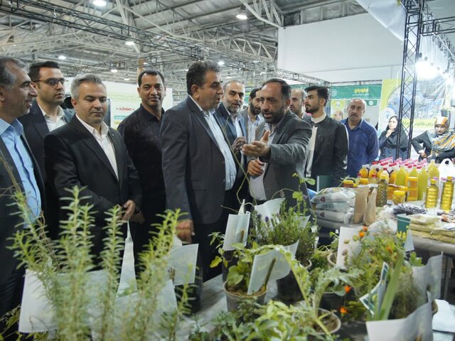 نمایشگاه «روستا آباد» در نمایشگاه بینالمللی قائمشهر راهاندازی شد