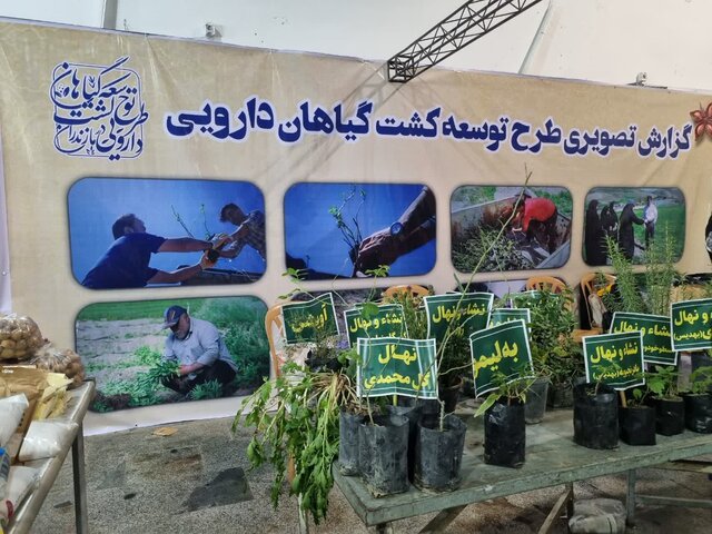 نمایشگاه «روستا آباد» در نمایشگاه بینالمللی قائمشهر راهاندازی شد