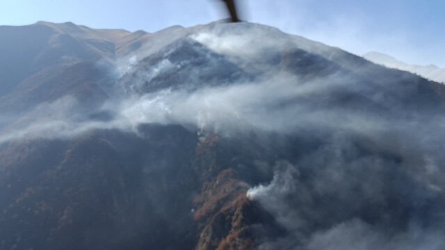  ۸۰ درصد آتش‌سوزی جنگل‌های الیت کنترل شد