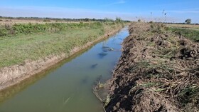 رئیس اداره منابع آب ساری و میاندورود: هشت کیلومتر از کانال انتقال آب میانشاه ساری لایروبی شد