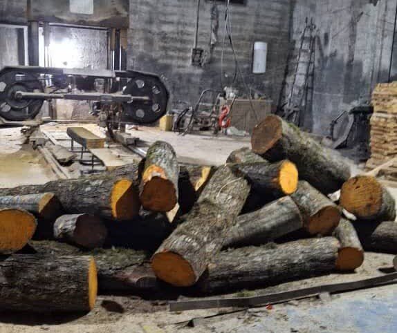 عکس تزیینی کشف و ضبط ۱۵ تن چوب آلات جنگلی قاچاق در آمل