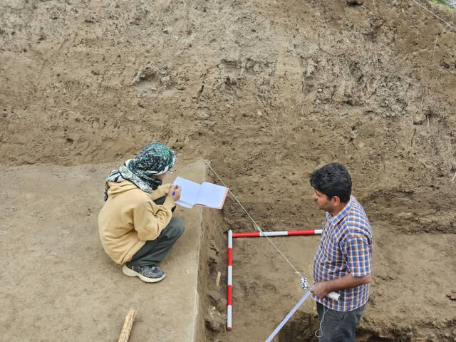 شکفتن دانه برنج ۳۰۰۰ ساله از کاوش لایه نگاری محوطه باستانی قلعه‌کِش آمل