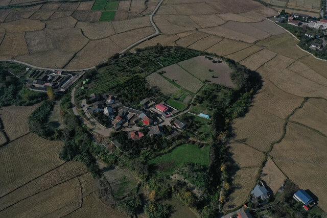 شکفتن دانه برنج ۳۰۰۰ ساله از کاوش لایه نگاری محوطه باستانی قلعه‌کِش آمل