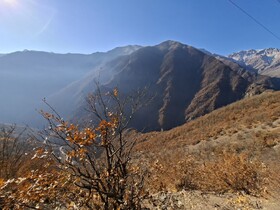 بازدید نمایندگان مجلس از مناطق آسیب‌دیده آتش‌سوزی جنگل‌های الیت