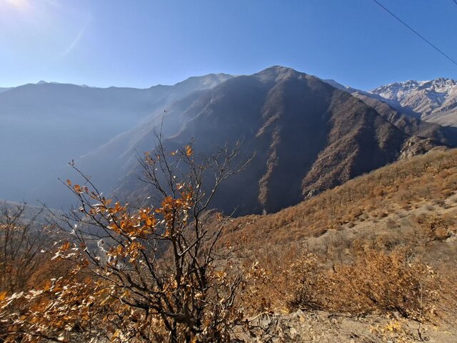 بازدید نمایندگان مجلس از مناطق آسیب‌دیده آتش‌سوزی جنگل‌های الیت