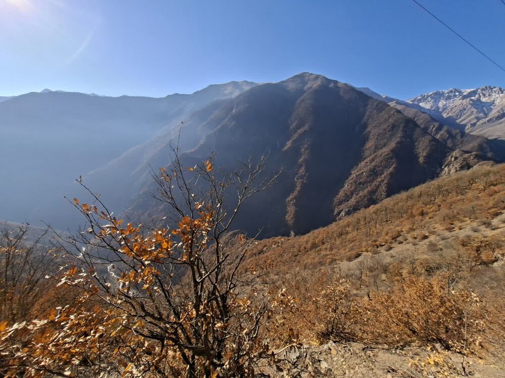 بازدید نمایندگان مجلس از مناطق آسیب‌دیده آتش‌سوزی جنگل‌های الیت