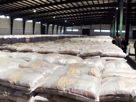 ورود بیش از ۱۰۰۰ تن برنج وارداتی برای تقویت امنیت غذایی مازندران