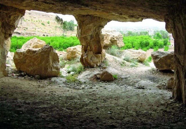 کشف ردپای «نئاندرتالها» در قلب جنگلهای هیرکانی