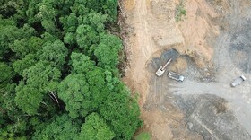 جنگل‌داری روی کاغذ، جنگل‌خواری در اجرا!