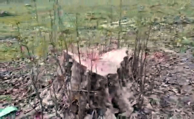 پاکتراشی عرصه جنگلی بابل در لوای قانون؟