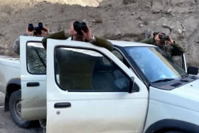 مدیرکل حفاظت محیط زیست: سرشماری حیاتوحش در مازندران وارد فاز علمی شد