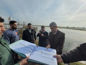 لزوم برخورد بدون اغماض با شکار و فروش پرندگان مهاجر